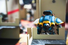 CJF00300